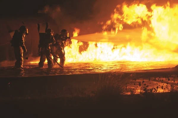 Know the Response of WHO to Wildfires