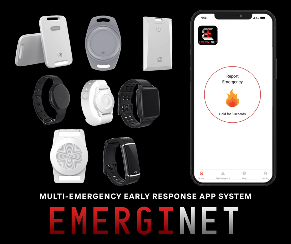 EmergiNet-LoRaWAN: Revolutionizing Asset Tracking with BLE Technology